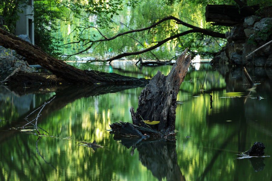 比肩eosr的相机,比佳能r6好的相机推荐
