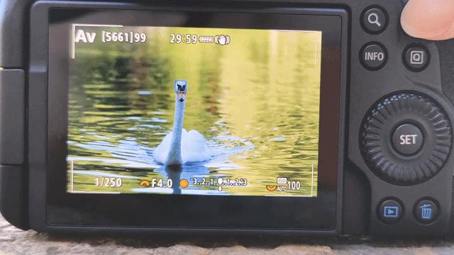 比肩eosr的相机,比佳能r6好的相机推荐