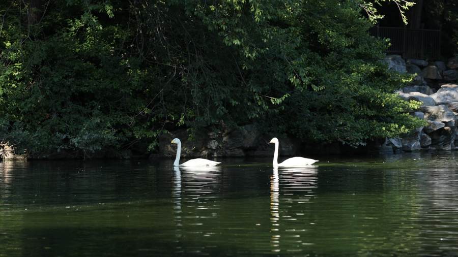比肩eosr的相机,比佳能r6好的相机推荐