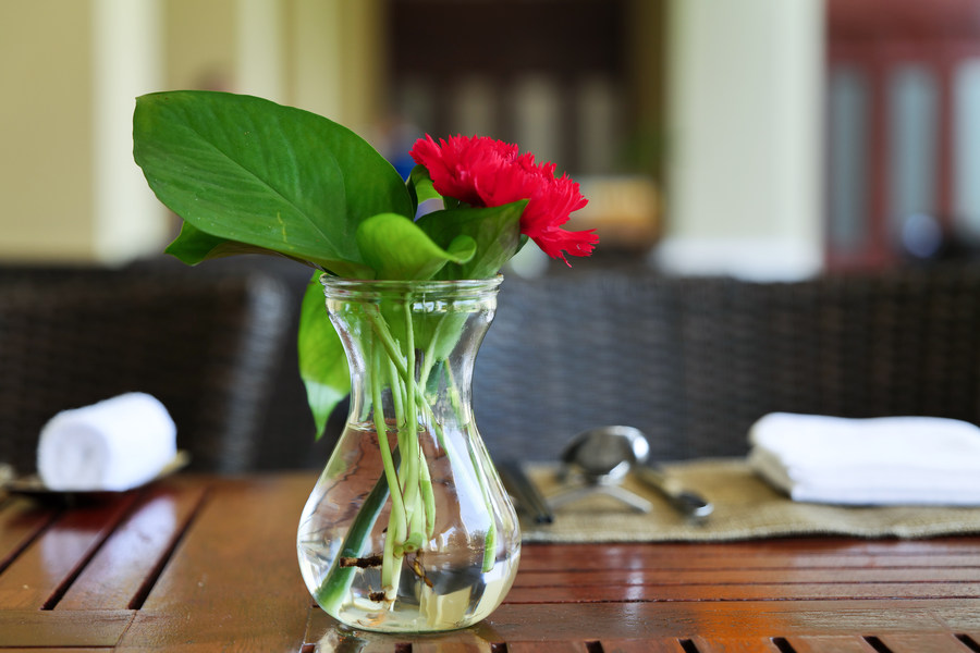 比肩eosr的相机,比佳能r6好的相机推荐