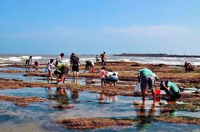 全国乡村旅游重点村,山东省乡村旅游重点村