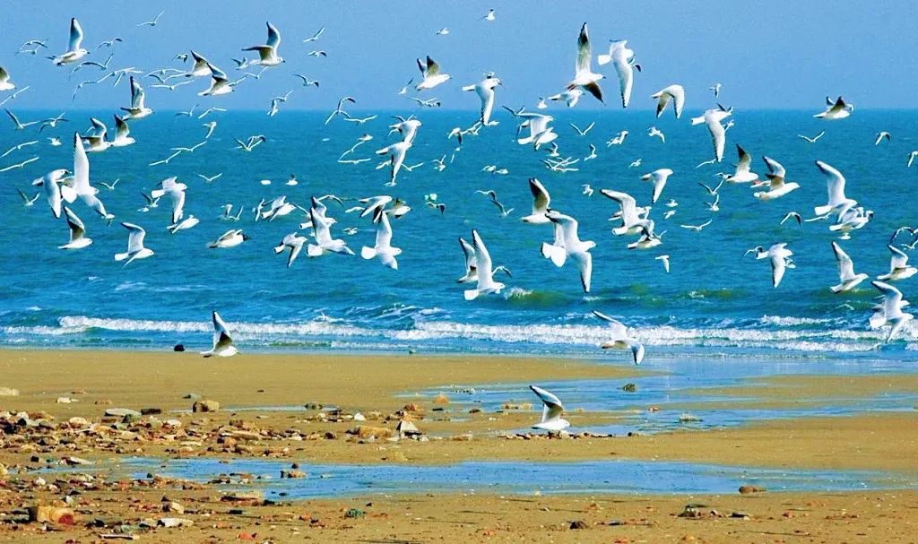 全国乡村旅游重点村,山东省乡村旅游重点村