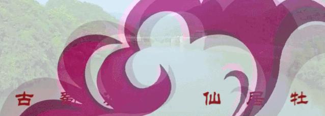 鑸媿褰窞鍏ㄦ櫙瑙嗛,鍑犱綍鑸媿