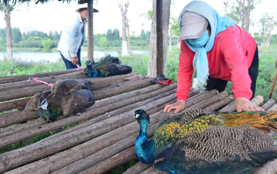 推荐一个假期亲子出游的好地方,北京亦庄周末去哪儿玩