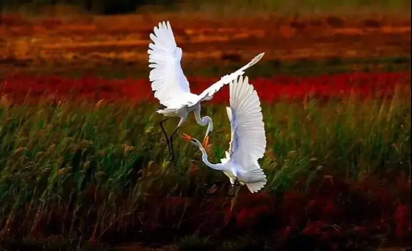 推荐一个假期亲子出游的好地方,北京亦庄周末去哪儿玩