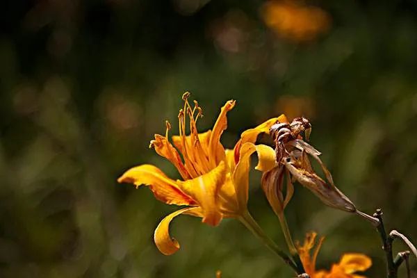 19岁男孩高处坠落死里逃生,19岁男孩做手术断送性命