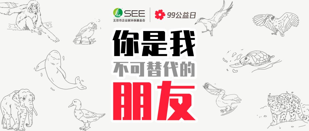 9.9公益日携手共创碧水蓝天,99公益日最新消息