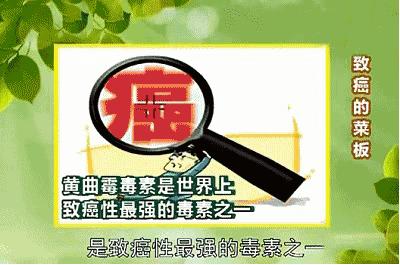 菜板保护,菜板好用又健康