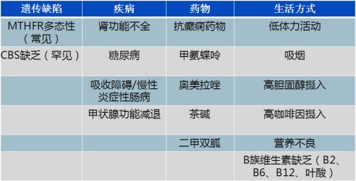 同型半胱氨酸与胆固醇有关吗 (胆固醇正常为什么同型半胱氨酸高)