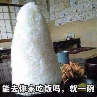 5年培育、全市首个！金山种植的这个“优质物”未来将推广至全国！