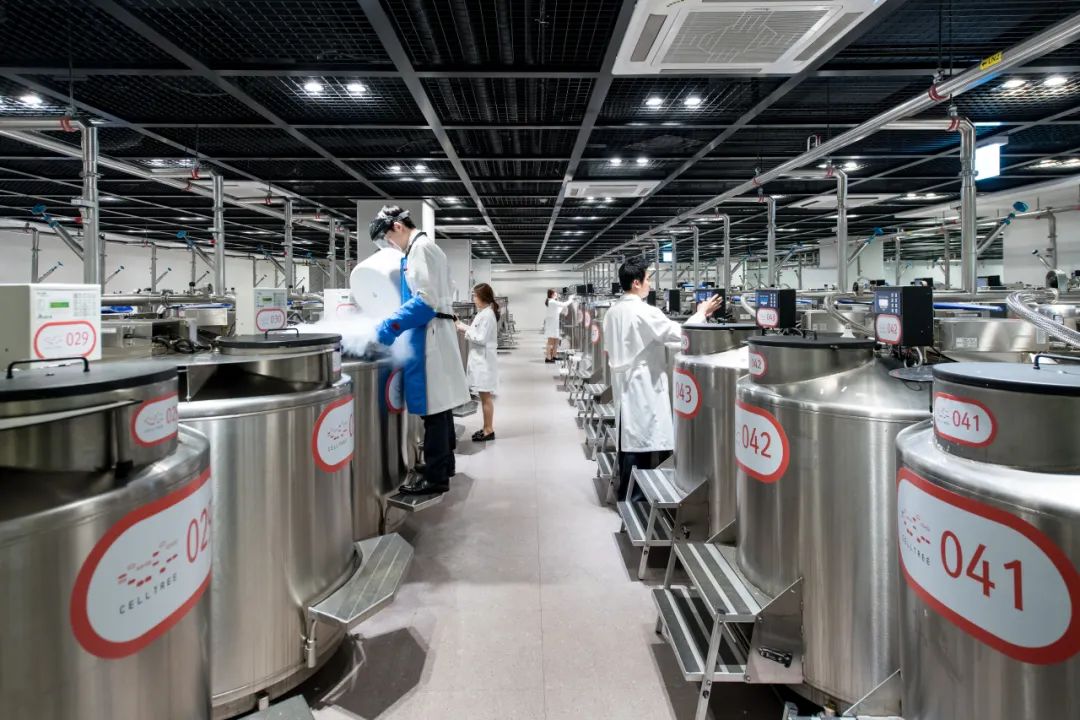 Medipost：聚焦脐血应用20年，释放再生医学潜力