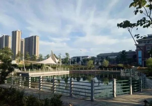 新时代学生心中的好老师,新时代学生心中的好老师事迹