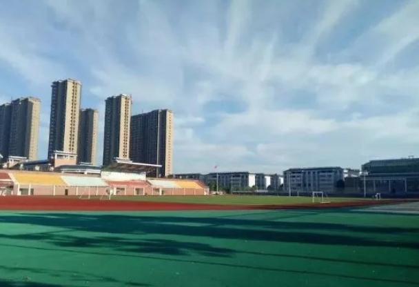 新时代学生心中的好老师,新时代学生心中的好老师事迹