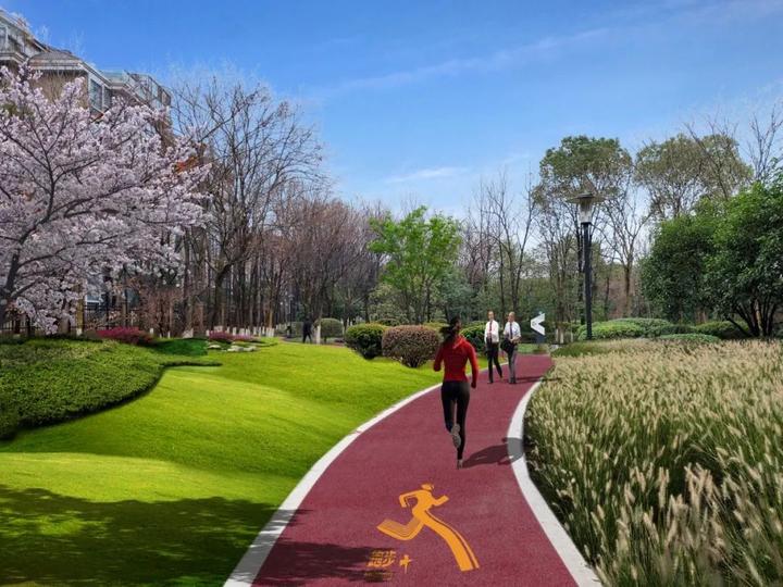 衢州市柯城区府山公园,府山公园最新视频