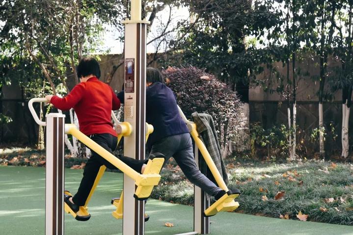 衢州市柯城区府山公园,府山公园最新视频