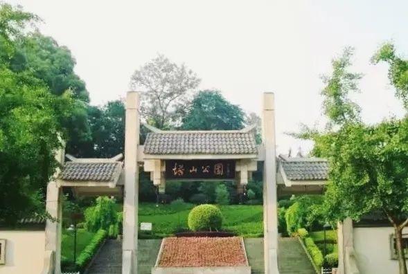 衢州市柯城区府山公园,府山公园最新视频