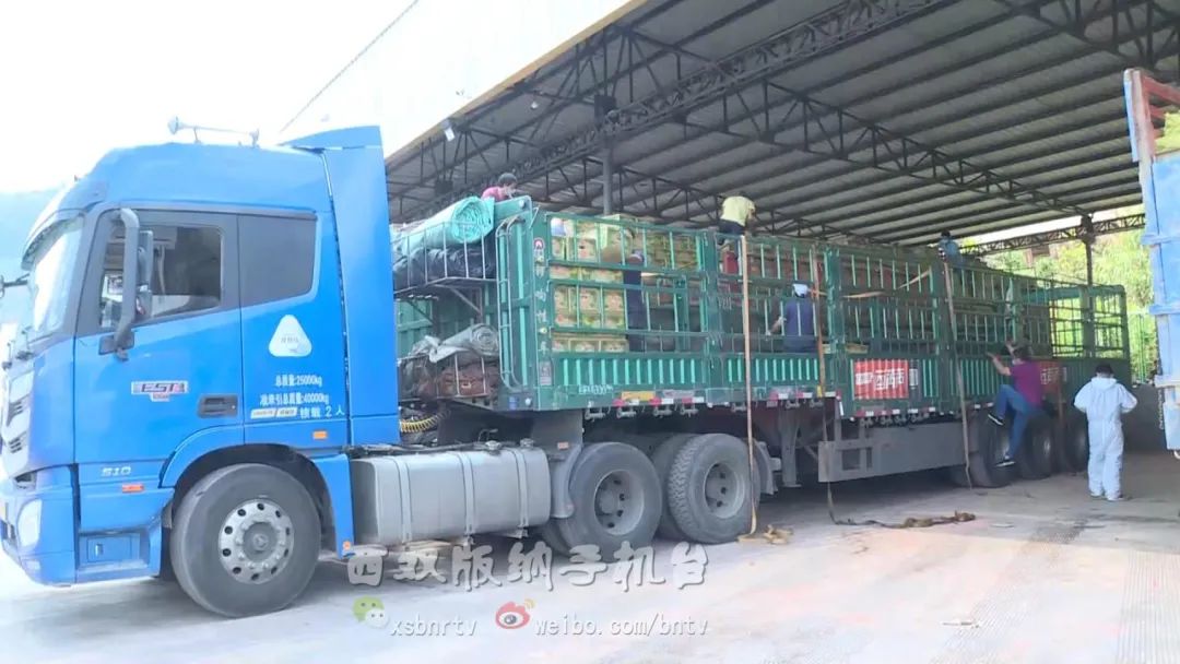 水果出口贸易现状,磨憨口岸外贸出口总额