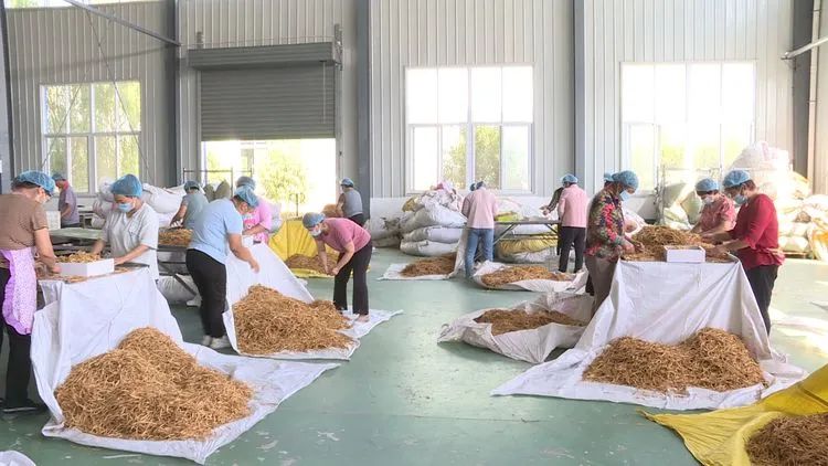 消费扶贫助力脱贫活动报道,乡镇消费扶贫助力打赢脱贫攻坚战