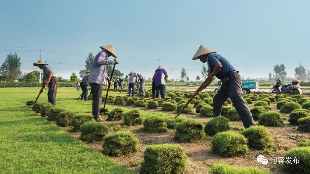 小句调查|在希望的田野上探寻小康“密码”