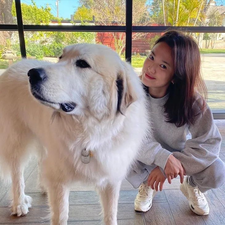 乔妹首次带货是哪天,乔妹几月份开始带货的