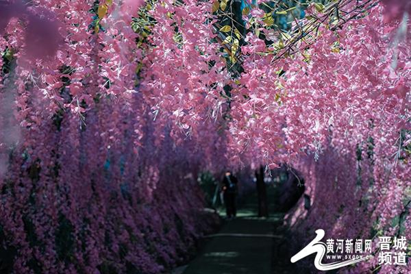 沟北村:山西彩绘第一村的进阶之路
