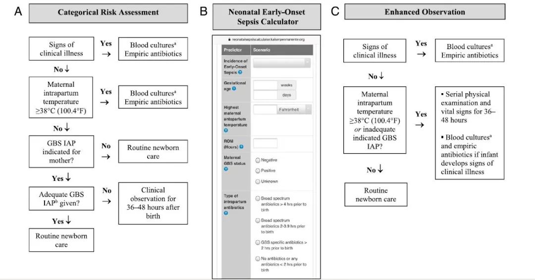 百雀羚清洁面膜,b群链球菌感染需要提前剖宫产吗