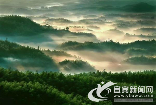 一年看变化,擦亮天府旅游名县这张名片