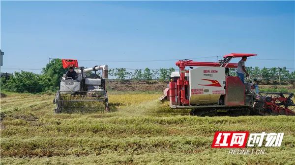 尝之者识，履之者知！湖南战“疫”给了我们什么启示？