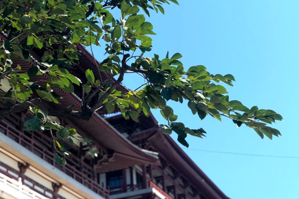 天气宋英杰,宋英杰天气谚语