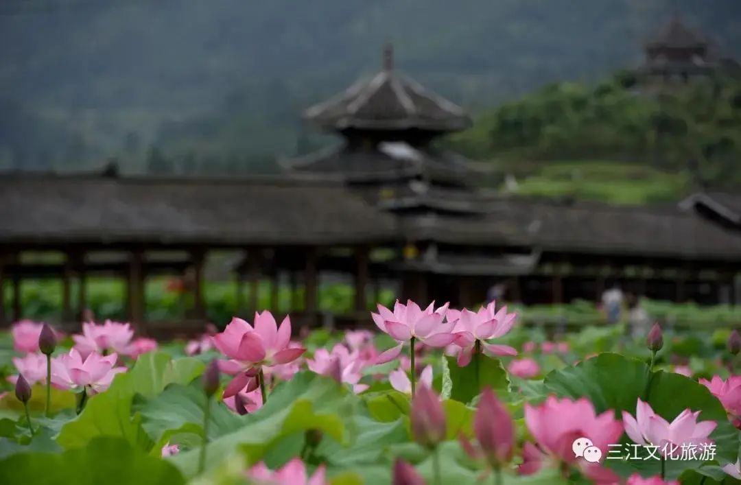 柳州景点良心推荐,本地人柳州旅游攻略3天两夜