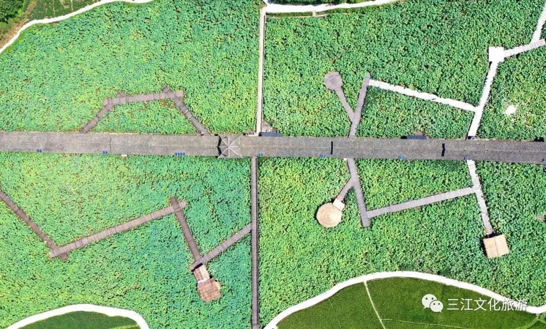 柳州景点良心推荐,本地人柳州旅游攻略3天两夜