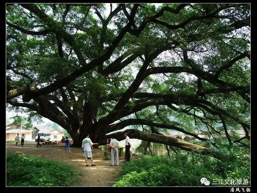 柳州景点良心推荐,本地人柳州旅游攻略3天两夜