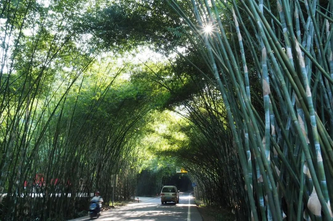 天府旅游名县兴文欢迎您,请回答成都完整版视频