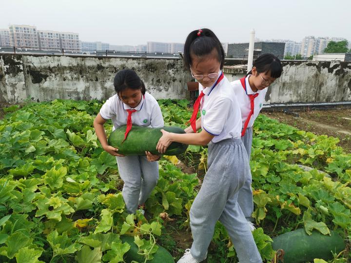 杭州这所学校晒了800多床被子,杭州这个学校怎么样