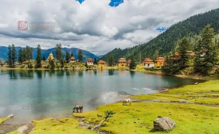 甘孜州有什么,关于甘孜州的知识