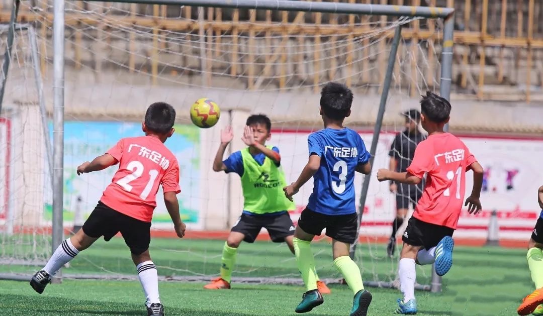 从“竞技体育”到“全民健身”,汕尾体育事业全面开花