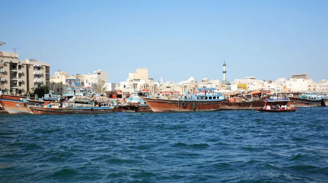 看迪拜纪录片观后感,迪拜土豪吃饭