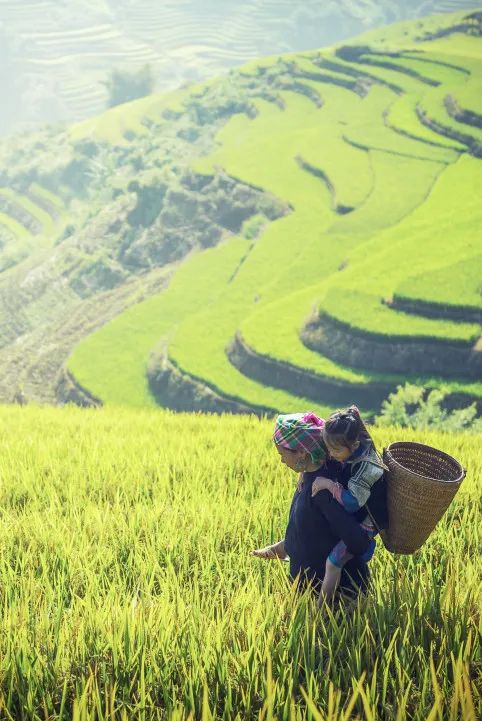 明起恢复开行的图片,定了刚刚正式通知