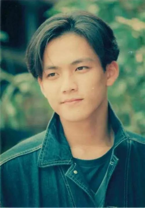 钟汉良颜值巅峰时的盛世美颜,钟汉良帅到令人发指