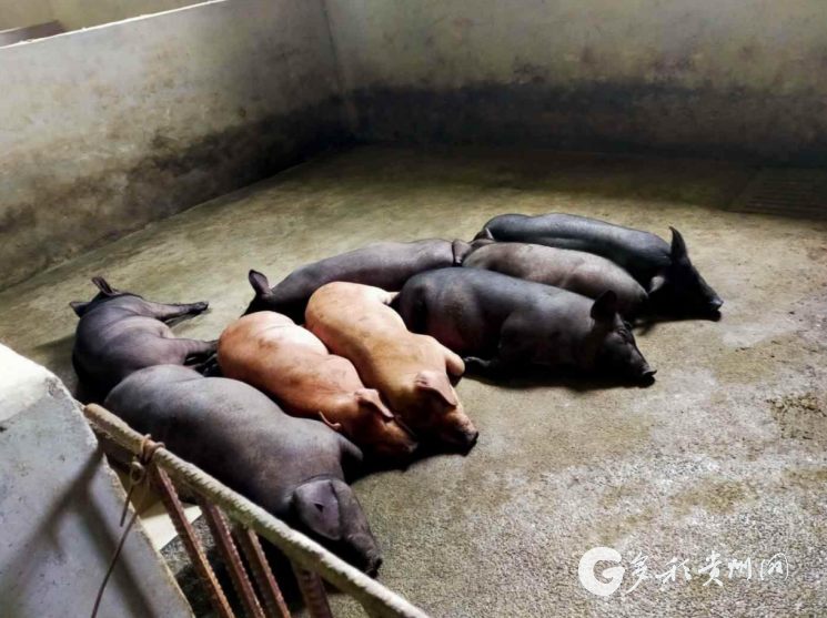 息烽润发缘：一头连着餐桌，一头连着基地一头挑着安全，一头挑着质量