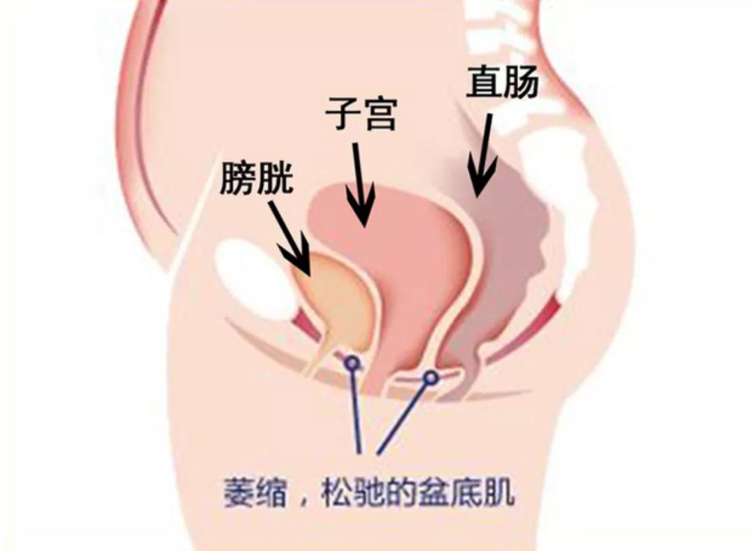 当你不想减肥时看看这些女明星,减肥坚持不下去时看看这些女明星