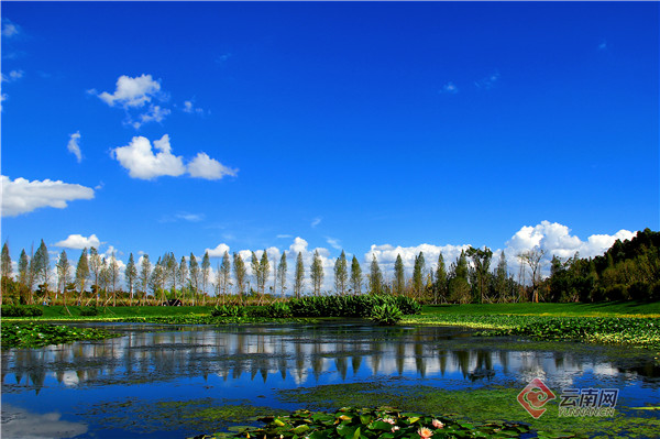 前进中国2014,中国百强区官渡区