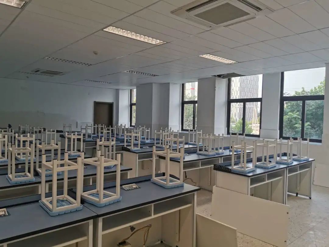 树人中学力人校区,树人学校情况