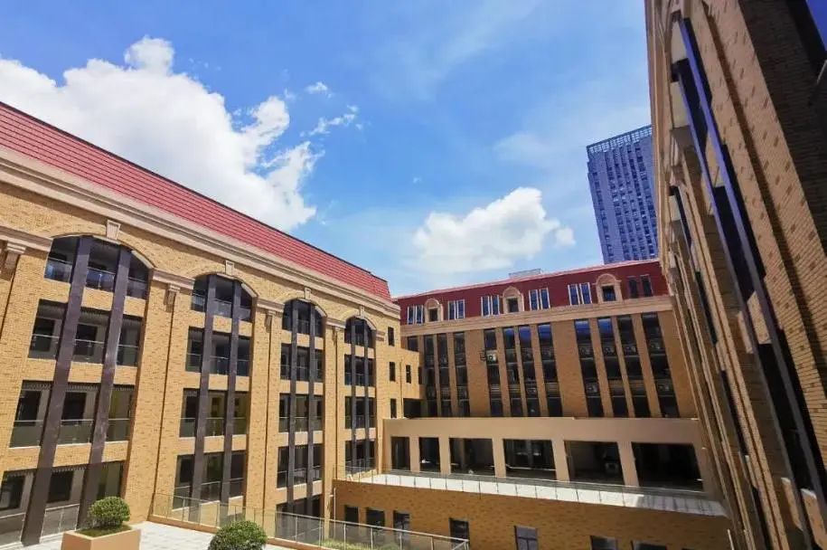 树人中学力人校区,树人学校情况