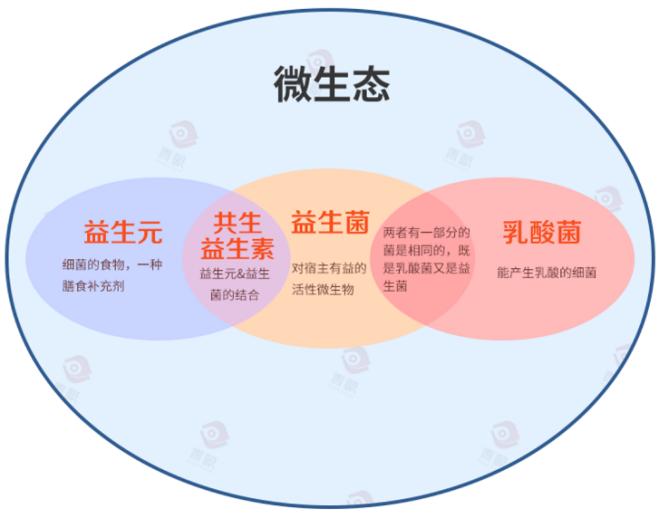 乳酸菌护肤品对皮肤好吗,乳酸菌护肤