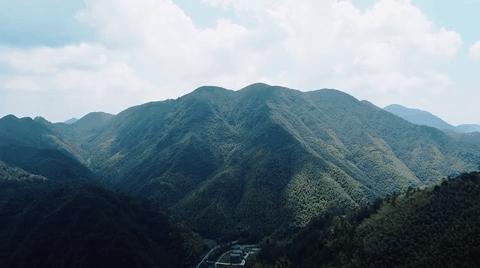 背靠梨树致富案例,背靠大树赚钱