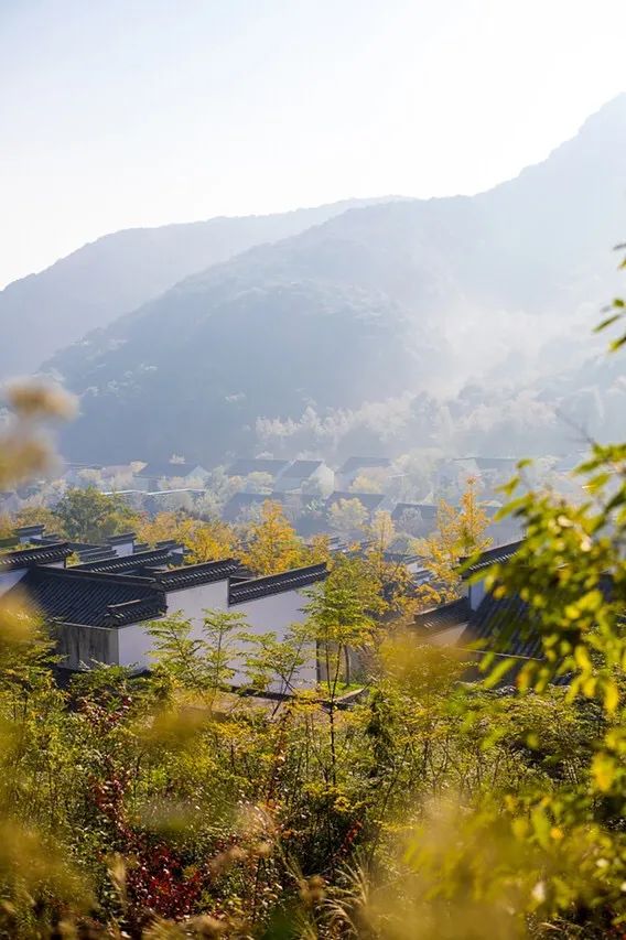 酒店控必住酒店,酒店控必备