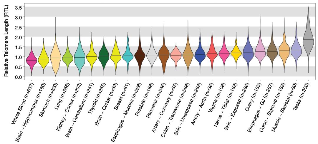 《科学》封面重磅：人类遗传学研究迎来又一重大里程碑！GTEx计划终极一剑，人类基因调控图谱徐徐展开丨科学大发现