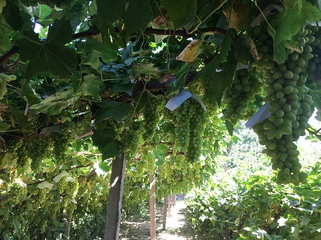 西北大环线唯梦想与爱不可辜负,玩转西北大环线