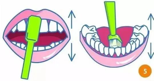 女明星笑的很好看,女明星笑起来丑到爆